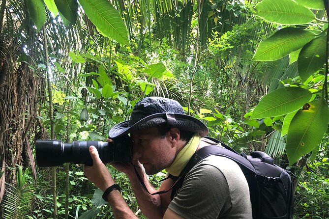 EcoHike to private beach, Jungle Walk to see plants & animals - Timing, Weather, and Cancellation