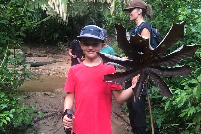 EcoHike to private beach, Jungle Walk to see plants & animals - Should You Book the Sayulita EcoHike?