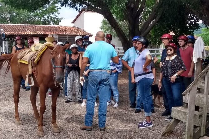 Experience Horse Riding, ATV & Zipline from Puerto Vallarta - Key points at a glance