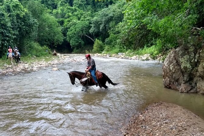 Experience Horse Riding, ATV & Zipline from Puerto Vallarta - The waterfall walk and changing water levels