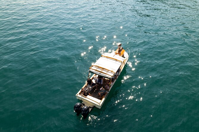 Explore Banderas Bay: Exclusive Boat Journies - Puerto Vallarta looks different from the bay