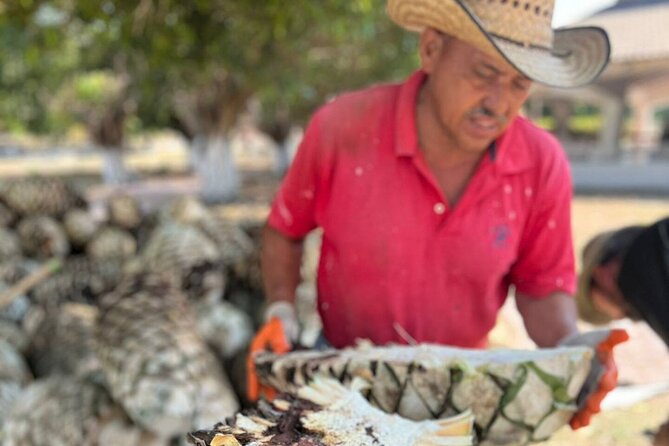 Finca 18 Puerto Vallarta Tequila Tour + Chocolate Pairing - Arriving at the 12-acre family ranch