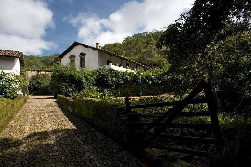From Puerto Vallarta: Full-Day Tour to San Sebastian - A family-owned lunch with uneven timing