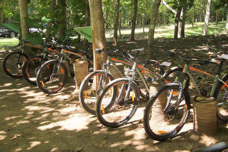 From Puerto Vallarta: Jungle Mountain Bike Tour - A small-group outing with a personal feel