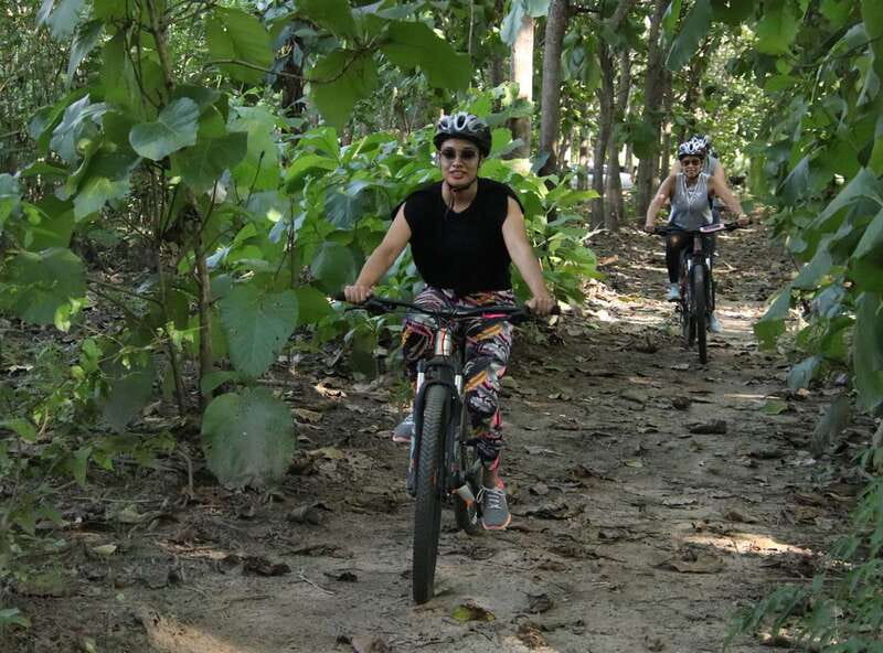 From Puerto Vallarta: Jungle Mountain Bike Tour - Riding through forest, pasture, and mountain trails