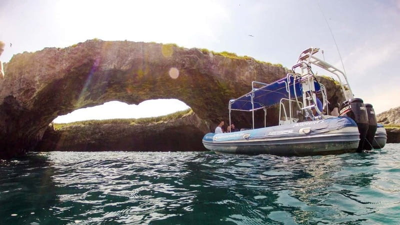 From Puerto Vallarta: Marieta Islands Snorkeling Trip - Key points to know before you book