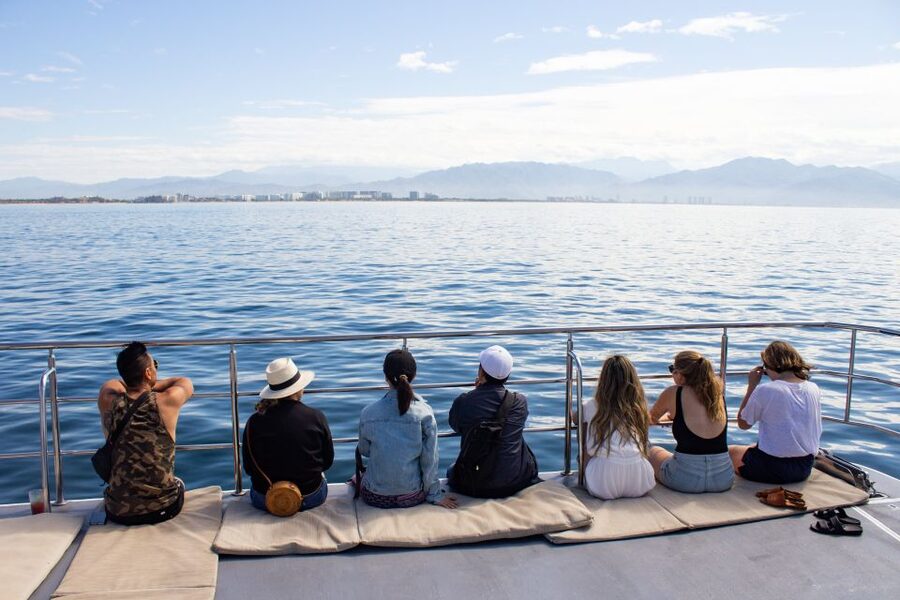 From Puerto Vallarta/Nuevo Vallarta: Whale Watching Cruise - Humpbacks, calves, dolphins, and the luck factor