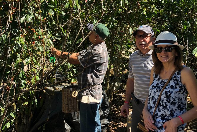 Full-Day Private Tour to San Sebastian del Oeste with Guide - Walking through old San Sebastian