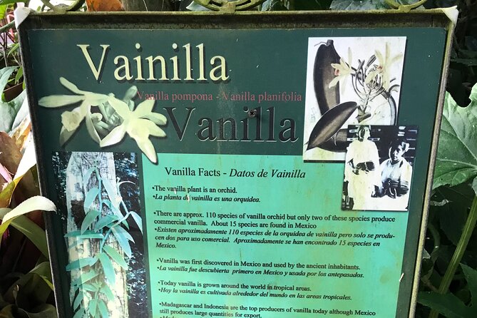 Full Day Puerto Vallarta Botanical Garden Tour - Who will enjoy this day most