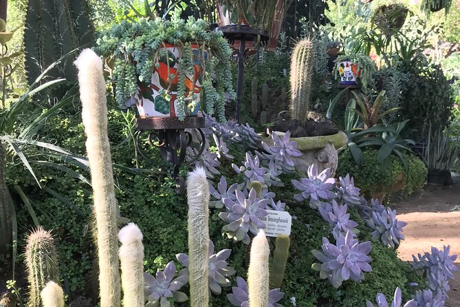 Full Day Puerto Vallarta Botanical Garden Tour - From formal paths to the outer jungle trails