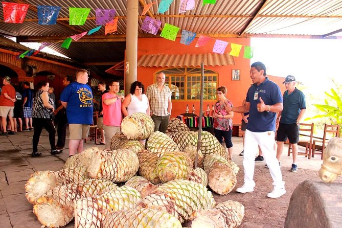 Full-Day Puerto Vallarta City Highlights Tour - Timing, transport, and cruise ship caution