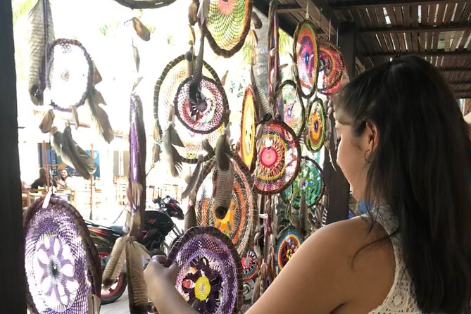Full-Day Sayulita and San Pancho from Puerto Vallarta - Timing problems you should plan around