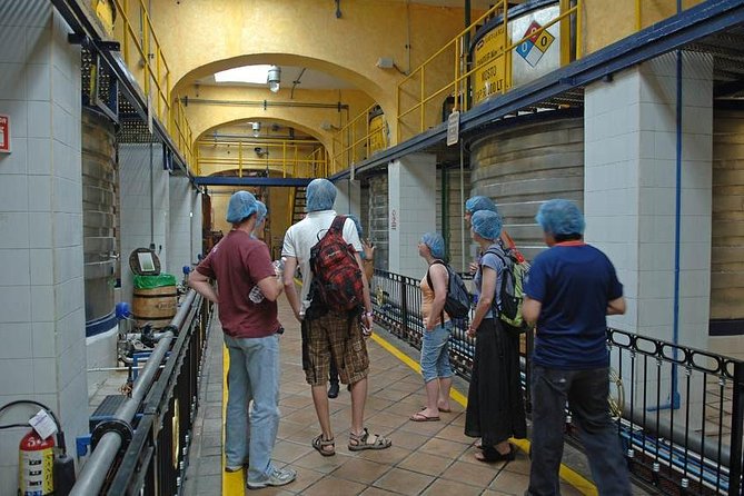 Full-Day Tequila, Jalisco from Puerto Vallarta with Tequila Experience - Inside Jose Cuervo Forum for 50 minutes