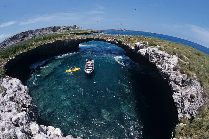 Full Day Tour Isla Marietas with Meals and Open Bar - What the staff and boat are like