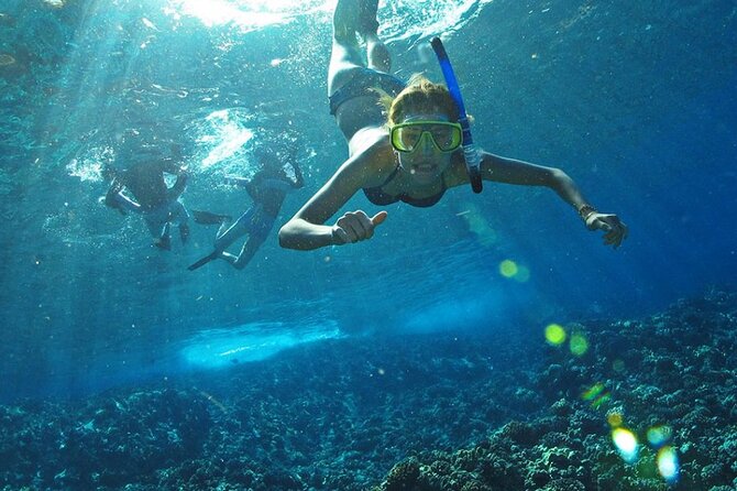 Full Day Tour Isla Marietas with Meals and Open Bar - Practical advice for a smoother day