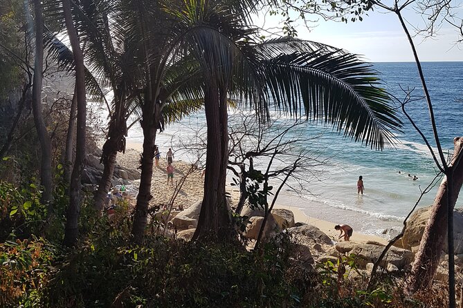 Full-Day Trail to 6 hidden Beaches, Colomitos & Snorkel - The boat ride back to Boca de Tomatlán