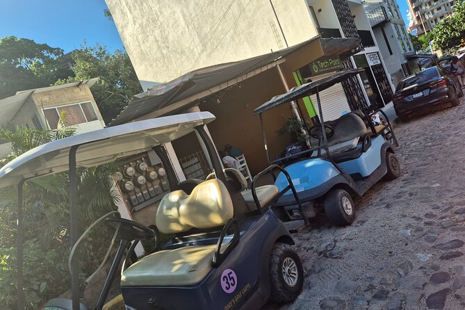 Golf Cart Rental in Sayulita - What the handoff may be like