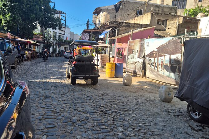 Golf Cart Rental in Sayulita - Is $165 a fair price?