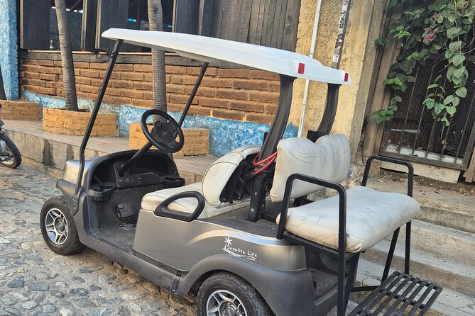 Golf Cart Rental in Sayulita - Who will get the most from this rental?