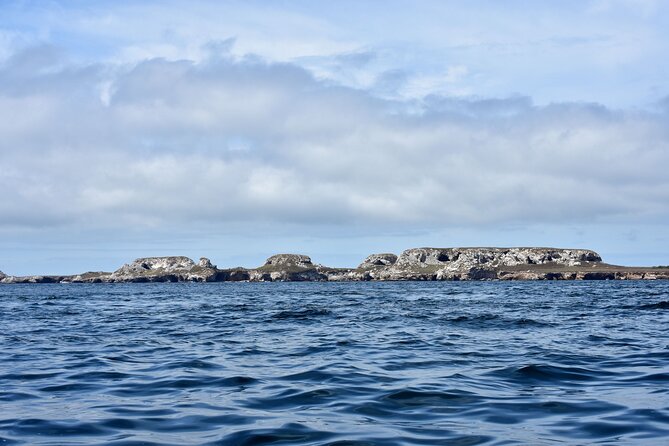 Half-Day Tour to Marietas Islands, Playa Nopalera by Speedboat - Time at rocky Playa Nopalera
