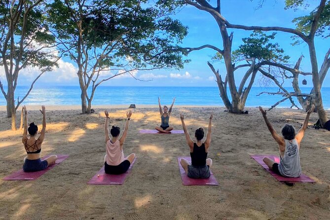Hike and Yoga Jungle Experience in Mexico - Key points at a glance