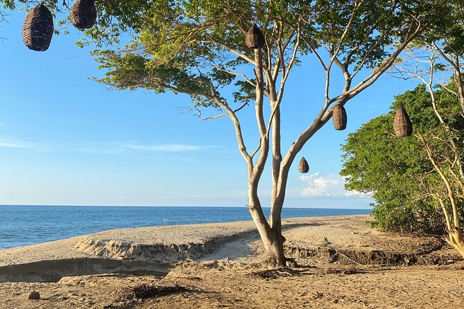 Hike and Yoga Jungle Experience in Mexico - Who should book this activity