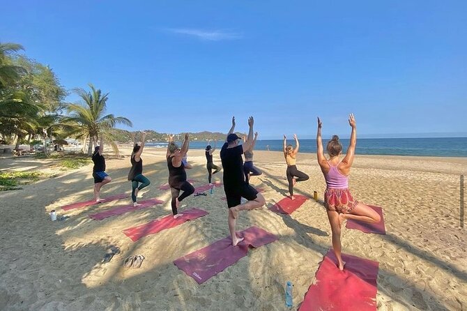 Hike and Yoga Jungle Experience in Mexico - Ocean views and small nature lessons along the way