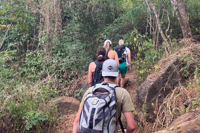 Hike to Monkey Mountain (Transportation & fresh coconut Included) - From Sayulita to Higuera Blanca by local bus