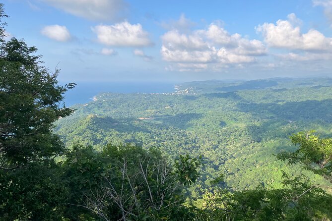 Hike to Monkey Mountain (Transportation & fresh coconut Included) - The final climb to Monkey Mountain’s summit