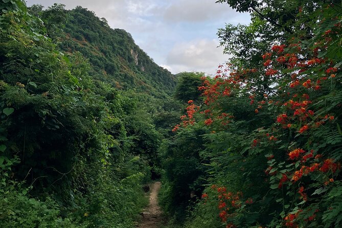 Hike to Monkey Mountain (Transportation & fresh coconut Included) - What the $81.56 price includes