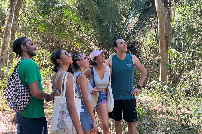 Hike to Monkey Mountain (Transportation & fresh coconut Included) - A five-mile walk through tropical dry forest