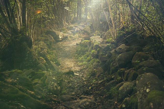 Hiking Adventure: River Trails & Waterfall Wonders - Reaching the Waterfall and Natural Pool
