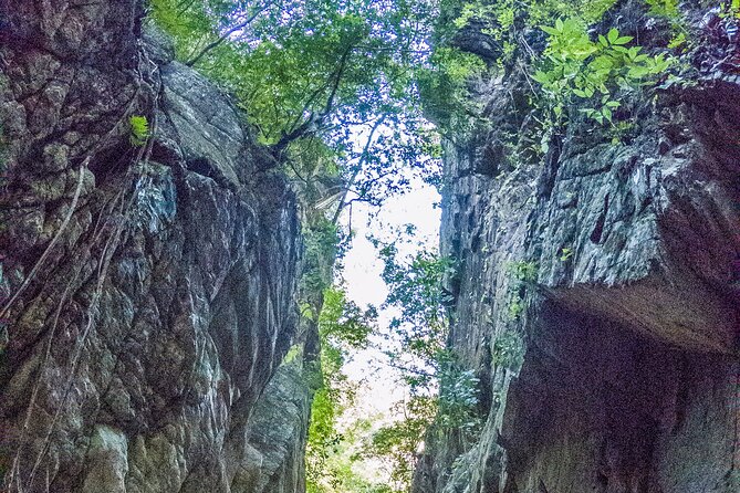 Hiking Adventure: River Trails & Waterfall Wonders - Guides Carlos and Emilian Shape the Morning
