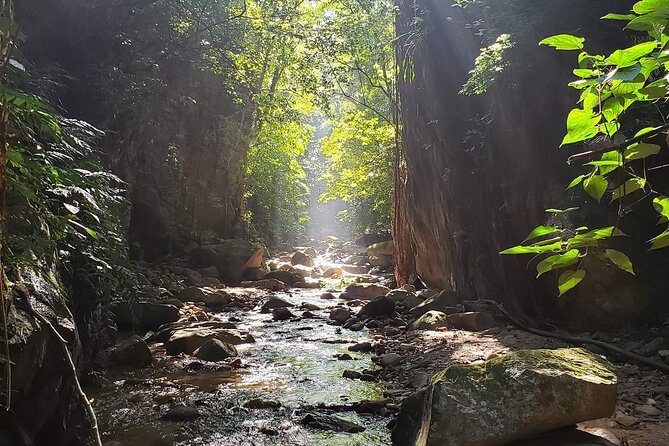 Hiking Adventure: River Trails & Waterfall Wonders - What the $77 Price Really Covers