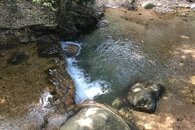 Hiking Adventure: River Trails & Waterfall Wonders - How This Compares With a Dry Sightseeing Morning
