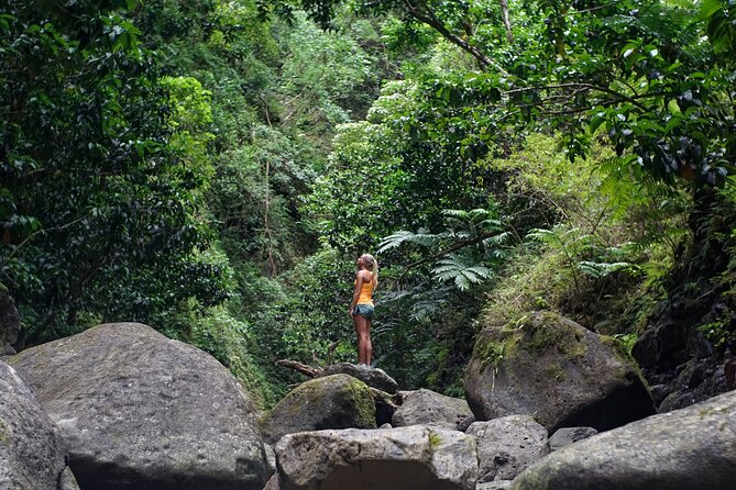 Hiking Adventure: River Trails & Waterfall Wonders - Who Will Enjoy This Four-Hour Adventure