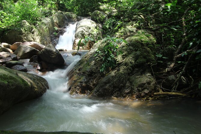 Hiking Adventure: River Trails & Waterfall Wonders - The Trail Is Wet by Design