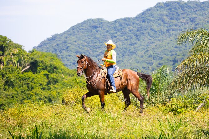 Horseback Riding Experience in Puerto Vallarta - Guides, horses, and the human side of the outing