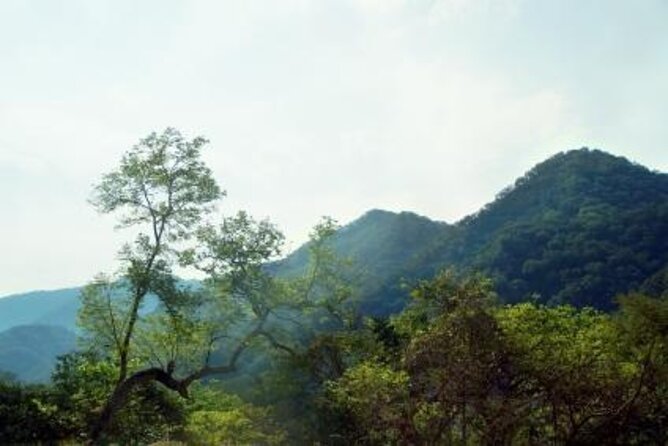 Horseback Riding Experience in Sierra Madre Mountains - Riding from Puerto Vallarta into the Sierra Madre