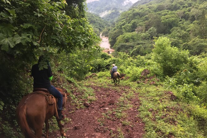 Horseback Riding Experience in Sierra Madre Mountains - Along the Cuale River and into the forest
