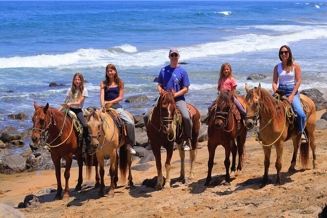 Horseback Riding in Sayulita - Who Will Enjoy This Ride Most?