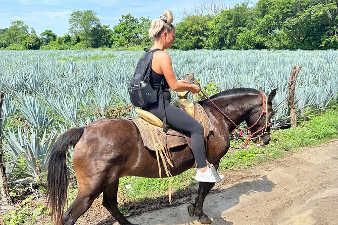 Horseback Riding & Swim: Tequila Tasting, BBQ & Margaritas - La Dulce Vista turns the afternoon into a food stop