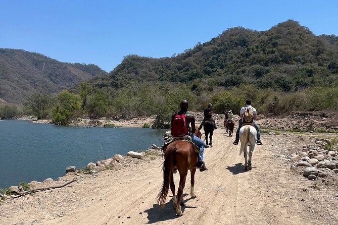 Horseback Riding & Swim: Tequila Tasting, BBQ & Margaritas - Why the possible horse swim matters