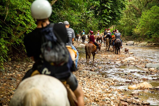Horseback Riding Tour in Sierra Madre from Puerto Vallarta - What the $103 price gets you