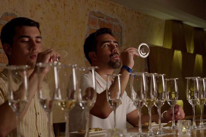 Immersive Experience & Tequila Tasting in Puerto Vallarta - Why this 90-minute tequila experience works