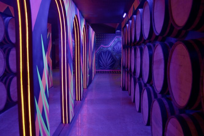 Immersive Experience & Tequila Tasting in Puerto Vallarta - The opening visual show and special glasses