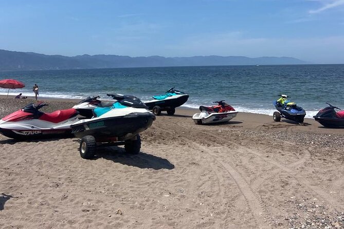 Jet Ski Jet Ski Rental in Puerto Vallarta - Wildlife sightings are possible, not promised