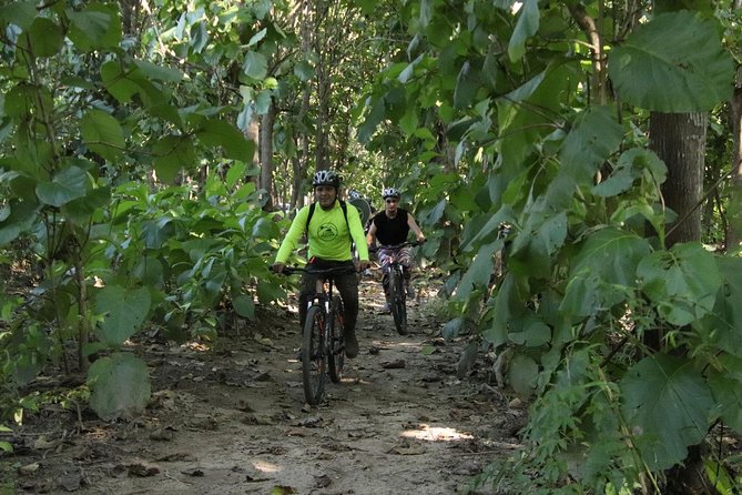 Jungle Bike Tour - What the Two-Hour Trail Ride Feels Like