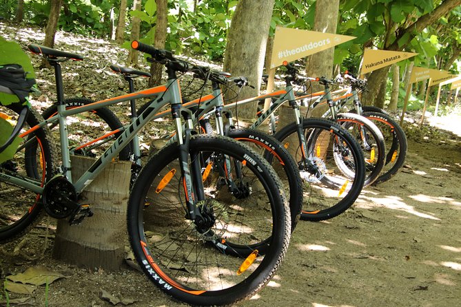 Jungle Bike Tour - Practical Advice Before You Go