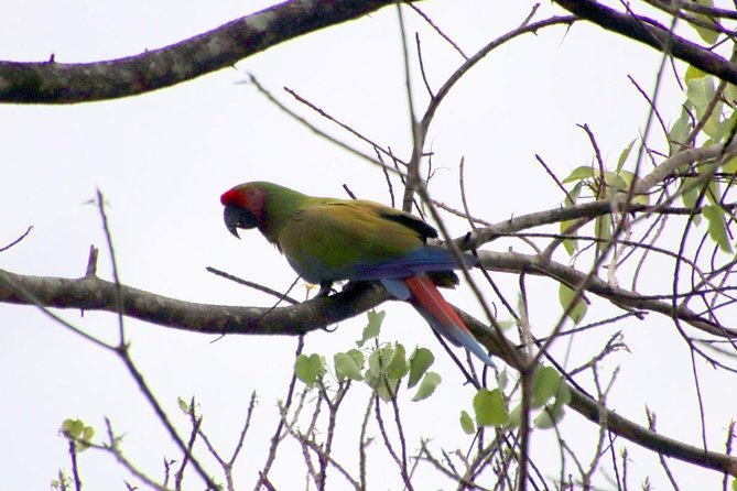 Jungle Bike Tour - Should You Book the Jungle Bike Tour?